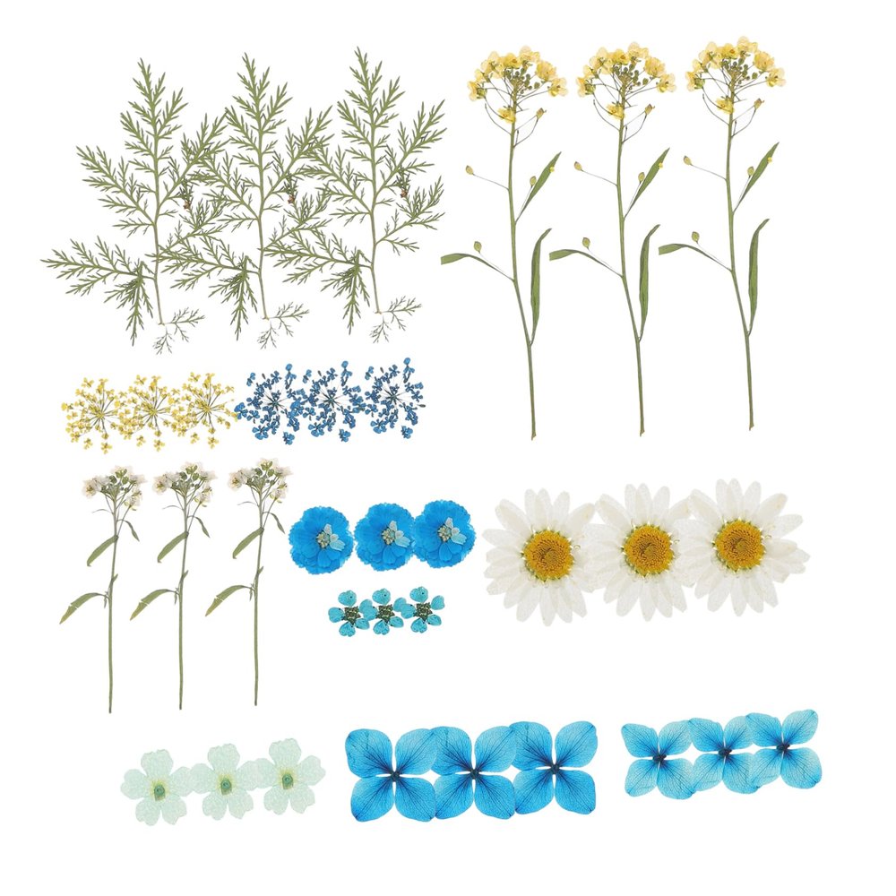EXCEART DIY Dried Flowers Craft Kit Natural Pressed Flower Embellishments for Handmade Accessories Suitable for Jewelry Making Scrapbooking and Home Decor