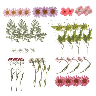 EXCEART DIY Dried Pressed Flower Kit for Crafts Natural Dried Flowers Set for Home Decor Scrapbooking Candle Making and Jewelry  Includes Petals and Tweezers