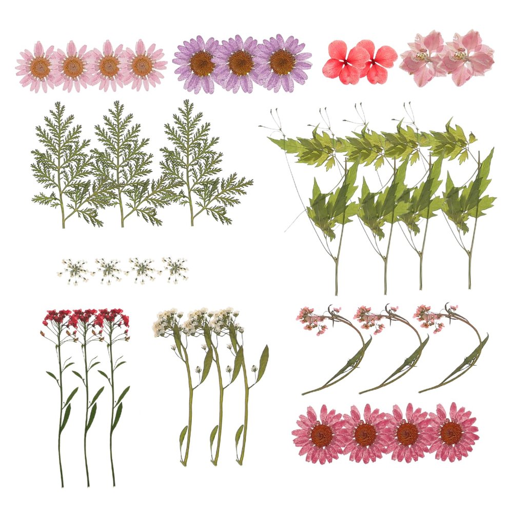EXCEART DIY Dried Pressed Flower Kit for Crafts Natural Dried Flowers Set for Home Decor Scrapbooking Candle Making and Jewelry Includes Petals and Tweezers