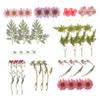 EXCEART DIY Dried Pressed Flower Kit for Crafts Natural Dried Flowers Set for Home Decor Scrapbooking Candle Making and Jewelry  Includes Petals and Tweezers view 1