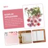 EXCEART DIY Dried Pressed Flower Kit for Crafts Natural Dried Flowers Set for Home Decor Scrapbooking Candle Making and Jewelry  Includes Petals and Tweezers view 2