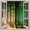 Wall Stickers 3D Smashed Murals Majestic Forest 3D Window View Decal Wall Sticker Decor Art Mural Nature 30" x 20" view 1