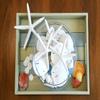 Tumbler Home Sand Dollars and Starfish for Crafts, 6 Real Starfish (4"-6") and 6 Sand Dollars (3"-3.5") in Bulk view 3