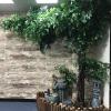 ESRADA Artificial Ficus Trees Silk Fake Ficus Tree with Plastic Nursery Pot Artificial Plants Faux Ficus Tree for Office Home Farmhouse Indoor Outdoor Decor 1.2x1m/3.9x3.2ft view 3