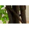 ESRADA Artificial Ficus Trees Silk Fake Ficus Tree with Plastic Nursery Pot Artificial Plants Faux Ficus Tree for Office Home Farmhouse Indoor Outdoor Decor 1.2x1m/3.9x3.2ft view 4