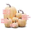 7Pcs Artificial Pumpkins Halloween Decoration Simulation Foam Pumpkins Decorative for Fall Halloween Thanksgiving Decor (Beige Yellow, One Size) view 2