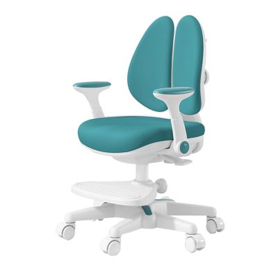 BXKCFYBSQ Kids Study Chair, Sitting Posture Correction Office Desk Chairs,Multi-Function Height Adjustable Children's Learning Chair, for Growing Child's Body (Color : Green)