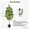 Artificial Lemon Tree 4ft Fake Lemon Plant in Pot Large Fake Floor Plants Faux Trees Indoor Lemon Decorations for Home Living Room Office view 3