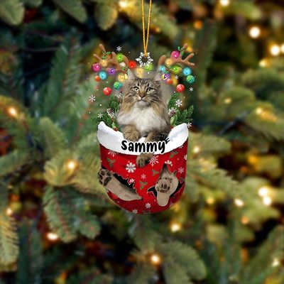 Personalized Norwegian Forest Cat Ornament, Custom Pet Name Ornament, Flat 2D Printed Acrylic Hanging, Santa & Cat, Christmas Decoration, Pet Loss & Birthday Gifts