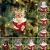Personalized Norwegian Forest Cat Ornament, Custom Pet Name Ornament, Flat 2D Printed Acrylic Hanging, Santa & Cat, Christmas Decoration, Pet Loss & Birthday Gifts view 3
