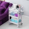BABYCE Multi-Function Storage Trolley Organizer Cart 2/3 Shelf Beauty Salon Spa Rolling Trolley Cart for Medical, Lab Instrument, Cosmetics & Make-up, Gray (Color : 3 Tier) view 2