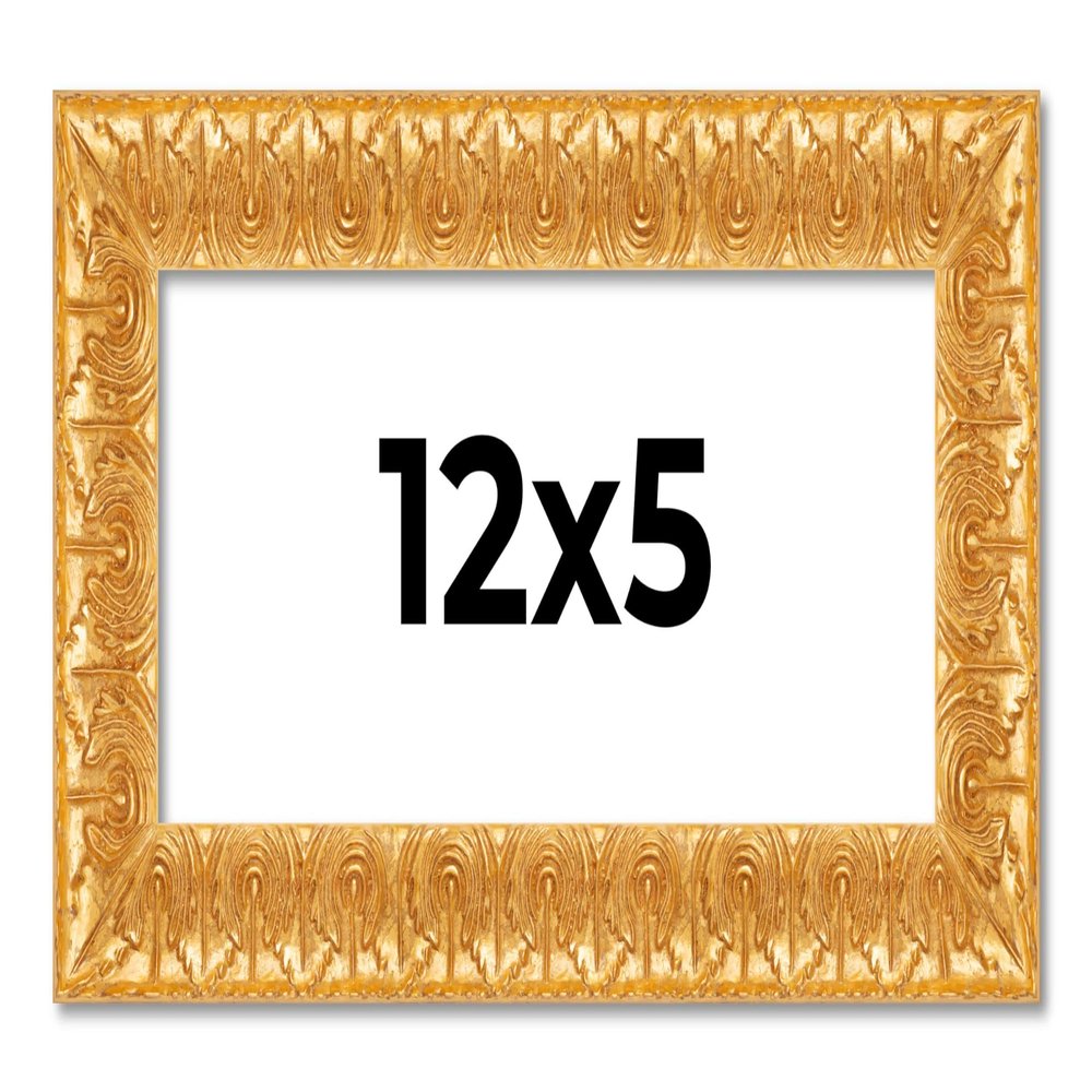 12x5 IN Frame Gold Baroque Antique Solid Wood Picture Frame Width 1.625 Inches | Interior Frame Depth 0.625 Inches | Alodia Ornate Photo Frame Complete with UV Acrylic, Foam Board Backing & Hanging