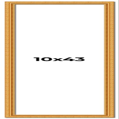 10x43 Frame Gold Ornate Solid Wood Picture Frame | 1.125 Inch Moulding Width | Chadwick Traditional Frame Complete with UV Acrylic Plexiglass, Foam Board Backing & Hanging Hardware
