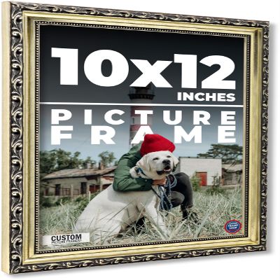 10x12 Frame Ornate Silver Solid Wood Picture Frame Width 1.125 Inches | Interior Depth 0.375 Inches | Willrick Traditional Frame with UV Acrylic Plexiglass, Foam Board Backing & Hanging Hardware