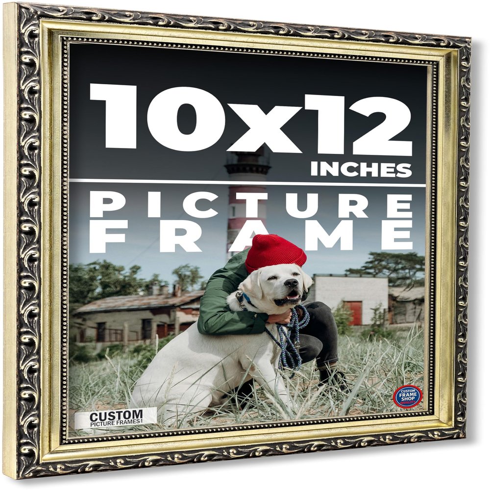 10x12 Frame Ornate Silver Solid Wood Picture Frame Width 1.125 Inches | Interior Depth 0.375 Inches | Willrick Traditional Frame with UV Acrylic Plexiglass, Foam Board Backing & Hanging Hardware