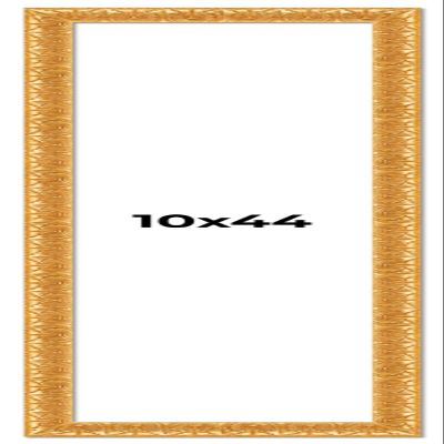 10x44 Frame Gold Baroque Antique Solid Wood Picture Frame Width 1.625 Inches | Interior Frame Depth 0.625 Inches | Alodia Ornate Photo Frame Complete with UV Acrylic, Foam Board Backing & Hanging
