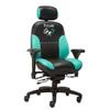 BodyBilt Gx7 Gaming Chair, Computer Chair with Lumbar Support, Height Adjustable Game Chair with 360-Swivel Seat and Headrest. for Office or Gaming view 1