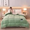 AOPPLSOT Winter Soft Warm Bed Quilt, Thickened Fluffy Comforter, Cashmere Quilt,Plush Duvet for Bed, Heavy Warm for Winter,Fruit Green,180 * 220cm 4kg view 1