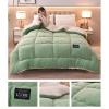 AOPPLSOT Winter Soft Warm Bed Quilt, Thickened Fluffy Comforter, Cashmere Quilt,Plush Duvet for Bed, Heavy Warm for Winter,Fruit Green,180 * 220cm 4kg view 2
