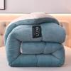 AOPPLSOT Winter Soft Warm Bed Quilt, Thickened Fluffy Comforter, Cashmere Quilt,Plush Duvet for Bed, Heavy Warm for Winter,Fruit Green,180 * 220cm 4kg view 3