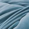 AOPPLSOT Winter Soft Warm Bed Quilt, Thickened Fluffy Comforter, Cashmere Quilt,Plush Duvet for Bed, Heavy Warm for Winter,Fruit Green,180 * 220cm 4kg view 4