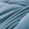 AOPPLSOT Winter Soft Warm Bed Quilt, Thickened Fluffy Comforter, Cashmere Quilt,Plush Duvet for Bed, Heavy Warm for Winter,Light Blue,180 * 220cm 4kg view 3