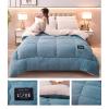 AOPPLSOT Winter Soft Warm Bed Quilt, Thickened Fluffy Comforter, Cashmere Quilt,Plush Duvet for Bed, Heavy Warm for Winter,Light Blue,180 * 220cm 4kg view 4