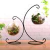 INLIMA Plant Pot Flowers and Plants Transparent Glass Vase Hanging Vase Flower Bed Party Decorative Vase Family Garden Round Vase view 2