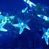 LIQS Solar Starfish String Lights, Waterproof 20ft 30 LED Starfish Fairy Lights with 2 Modes Starfish Christmas Lights for Garden Wedding Party and Holiday Decorations (15.7ft 20LED, Blue) view 4