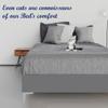 Greaton, 15-Inch Premium Vinyl Material Wood Box Spring/Bed Frame, Durable, Stylish, Multi Colour Options and Comfortable Foundation with Silver Metal Legs, Queen, Dark Grey view 3