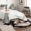 Bernese Mountain Dog Rug 2x3 ft, Puppy Area Rug, Dog Lover Rugs for Entryway Living Room Bedroom, Pet Carpet, Kids Room Decor for Boys Girls, Washable Non Slip Soft Low Pile Indoor Door Mat view 2