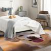 Labrador Rug 4x6 ft, Dog Lover Area Rug, Puppy Rugs for Living Room Bedroom, Pet Carpet, Kids Room Decor for Boys Girls, Washable Non Slip Soft Low Pile Indoor Area Rugs view 2