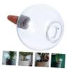 BESPORTBLE 3pcs Self-Watering Plant Globes Reusable Watering Bulbs for Indoor Plants and Bonsai Easy to Use and Design view 2