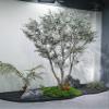 ESRADA Solid Wood Artificial Tree Nordic Bionic Olive Tree Fake Green Plant Potted Plant Ornament Window Scene Decorative Tree (no Bottom View) 2.5m view 2