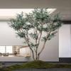 ESRADA Solid Wood Artificial Tree Nordic Bionic Olive Tree Fake Green Plant Potted Plant Ornament Window Scene Decorative Tree (no Bottom View) 2.5m view 4
