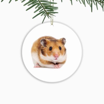 Hamster Ornament,Christmas Ornament Xmas Tree Ornaments,Suitable for Home,Party Decorations