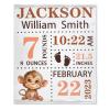 Bhaisajyaguru Personalized Baby Blanket with Birth Information, Customized Monkey Pattern Name Blanket from Baby's Name Birth Time Date, Gift for New Mom Dad Granddaughter Grandson 40"x30" for Pets view 1