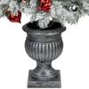 Northlight Pre-Lit Potted Snowy Bristle Pine Artificial Christmas Tree Clear Lights - 5' view 3
