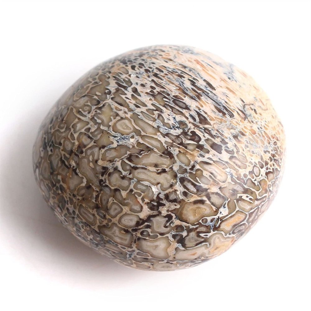 AAKOMA 1PC Natural Crystal Tumbled Stone Polished Palm Stone Pocket Stone Reiki Gift (Color : Dinosaur Bone Palm, Size : 70-100g)