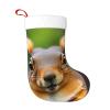 BrUgui Large Christmas Stocking, Personalized and Durable, Perfect for Holiday Decor and Gift-Giving Squirrel Funny Animal view 1