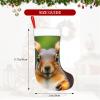 BrUgui Large Christmas Stocking, Personalized and Durable, Perfect for Holiday Decor and Gift-Giving Squirrel Funny Animal view 2