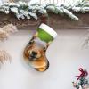 BrUgui Large Christmas Stocking, Personalized and Durable, Perfect for Holiday Decor and Gift-Giving Squirrel Funny Animal view 4