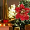 BESTOYARD 4pcs Christmas Poinsettia Flower 22cm Artificial Glitter Poinsettia Christmas Tree Ornaments DIY Wreath Garland Xmas Flower for Wedding Festive Party Decor view 4