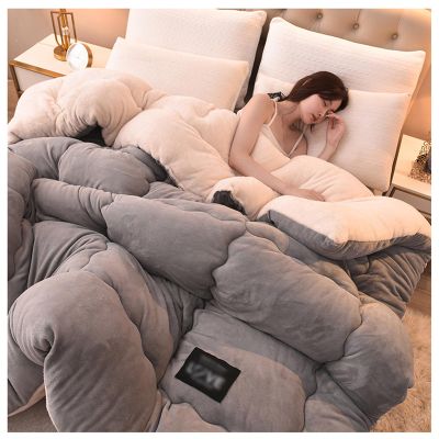 FDISDIFH Super Warm Lamb Quilt Winter Blanket, 5Kg Thickened Double-Sided Velvet Quilt Thickened Warm Autumn Spring Plush Comforter Core for Cold Weather,B,200 * 230cm/79 * 90in(5kg)