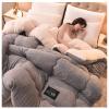 FDISDIFH Super Warm Lamb Quilt Winter Blanket, 5Kg Thickened Double-Sided Velvet Quilt Thickened Warm Autumn Spring Plush Comforter Core for Cold Weather,B,200 * 230cm/79 * 90in(5kg) view 1