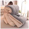 FDISDIFH Super Warm Lamb Quilt Winter Blanket, 5Kg Thickened Double-Sided Velvet Quilt Thickened Warm Autumn Spring Plush Comforter Core for Cold Weather,B,200 * 230cm/79 * 90in(5kg) view 2