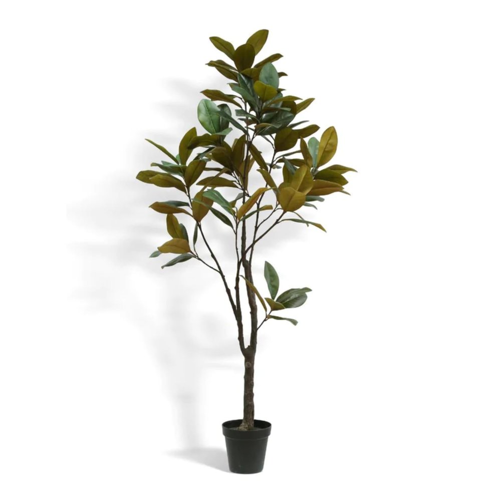 CG Hunter Faux Magnolia Tree, Premium Artificial Indoor Tree Stands 7' Tall with Lifelike-Leaves & Hand Painted Trunk, 9.5" Nursery Pot Included
