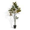 CG Hunter Faux Magnolia Tree, Premium Artificial Indoor Tree Stands 7' Tall with Lifelike-Leaves & Hand Painted Trunk, 9.5" Nursery Pot Included view 1