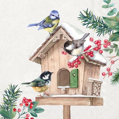 Winter Party Napkins - 40 Count | 2 Packages of 20CT Lunch Napkins | Birds Meeting Point Design