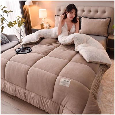 ZTGL Super Soft Warm Lamb Quilt 2-5 Kg Winter Double-Sided Velvet Blanket Fluffy Plush Quilt Thickened Warm Autumn Spring Plush Comforter Core Reversible,E,150x200cm(2kg)